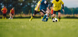 harmonicode sports