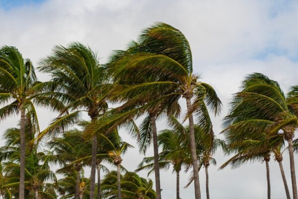 Windy com: Your Easy Guide to Accurate Weather Updates