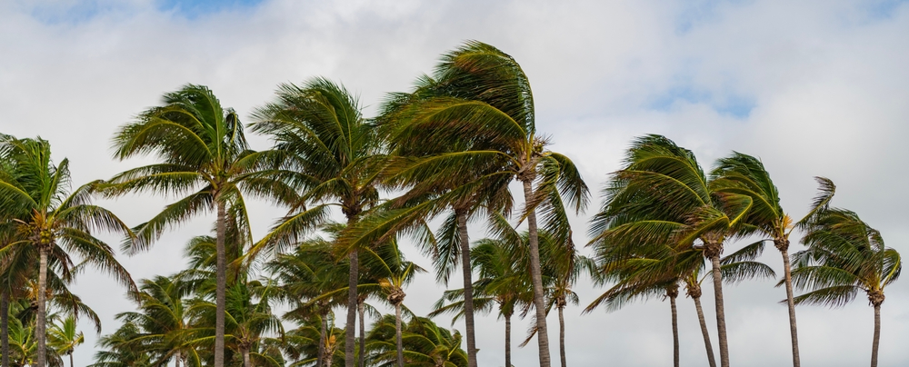 Windy com: Your Easy Guide to Accurate Weather Updates
